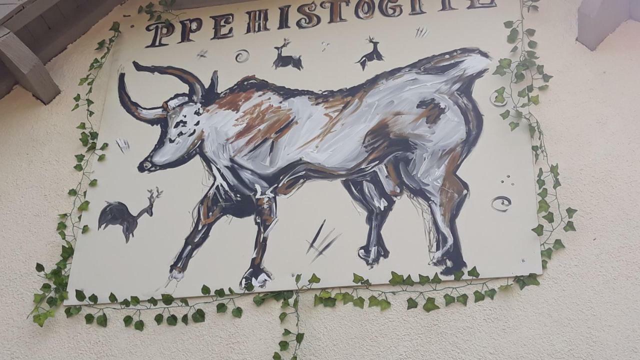 Prehistogite Saint-Genies Εξωτερικό φωτογραφία