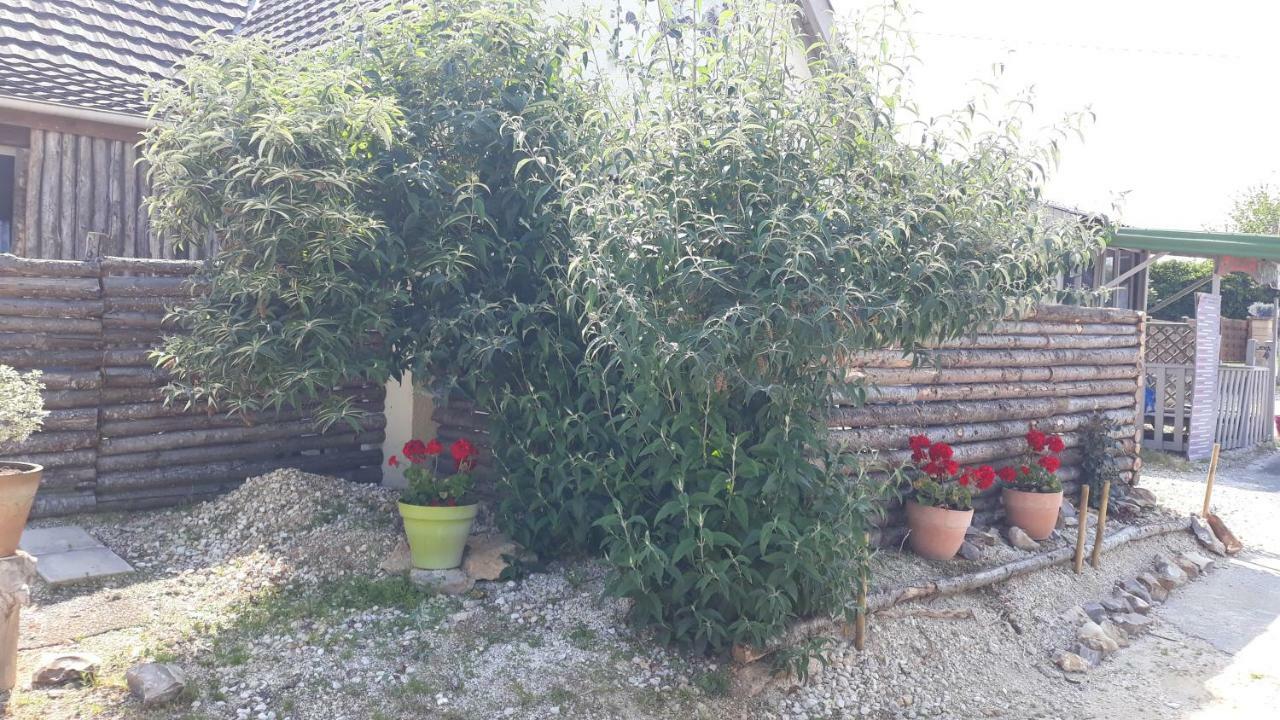 Prehistogite Saint-Genies Εξωτερικό φωτογραφία